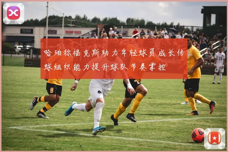 哈珀称福克斯助力年轻球员成长传球组织能力提升球队节奏掌控